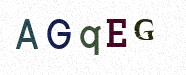 Visual Confirmation Security Code