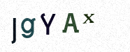Visual Confirmation Security Code