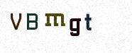 Visual Confirmation Security Code